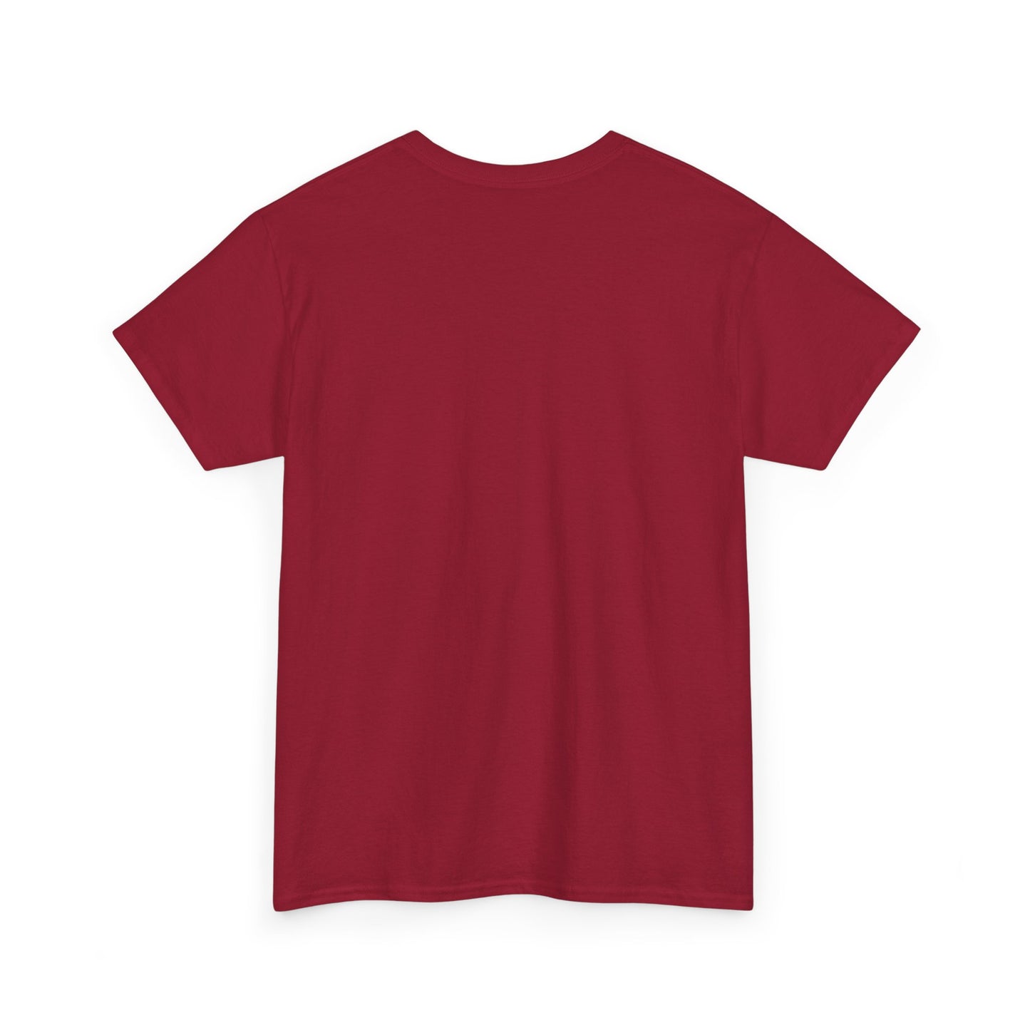 Inspirational Message Tee for Everyone, Motivational T-Shirt, Gift for Friends, Positive Affirmation Apparel, Everyday Wear