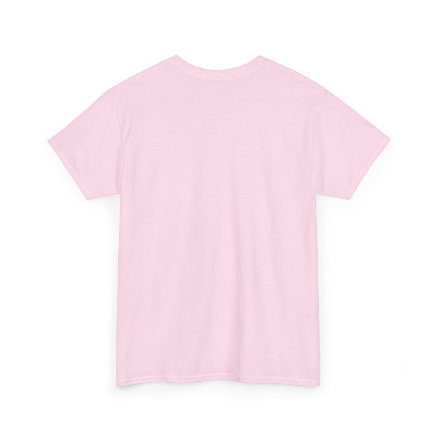 Inspirational Message Tee for Everyone, Motivational T-Shirt, Gift for Friends, Positive Affirmation Apparel, Everyday Wear